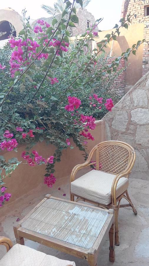 Eskaleh Eco-Lodge Ebu Simbel Dış mekan fotoğraf
